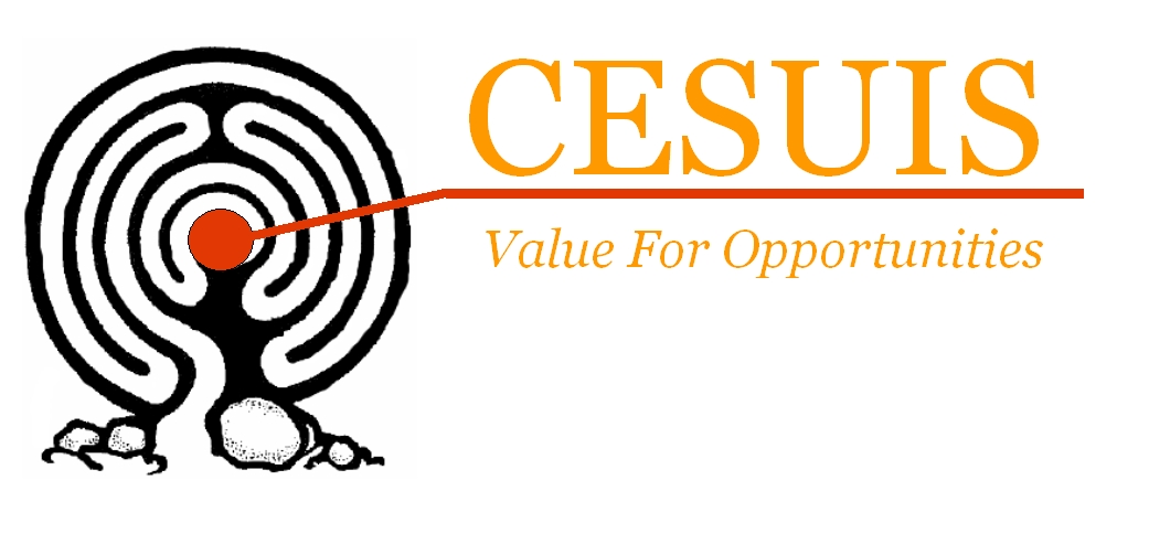 CESUIS "Value for Opportunities"